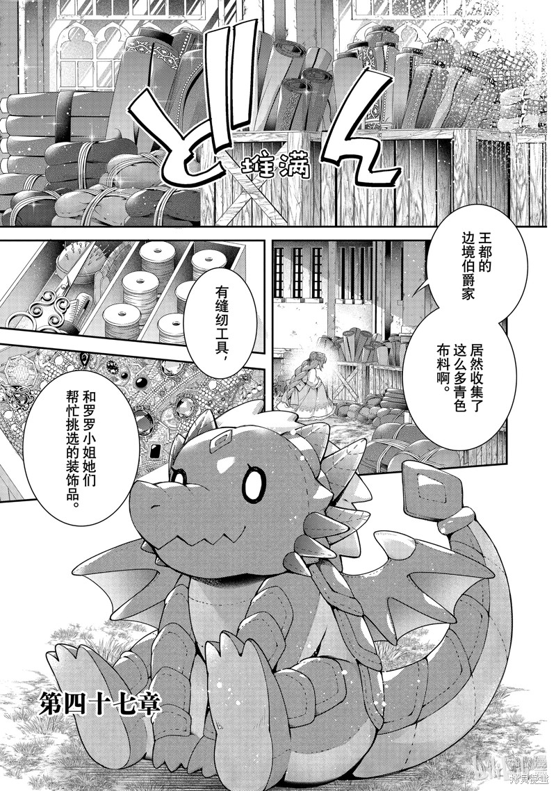 龙骑士的宠儿漫画47话