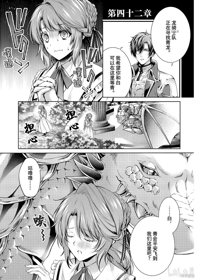 龙骑士的宠儿漫画42话
