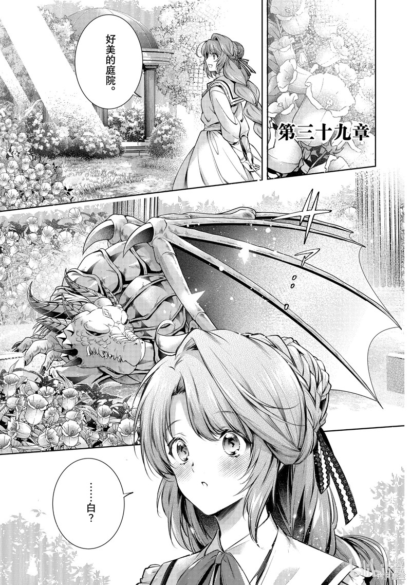 龙骑士的宠儿漫画39话