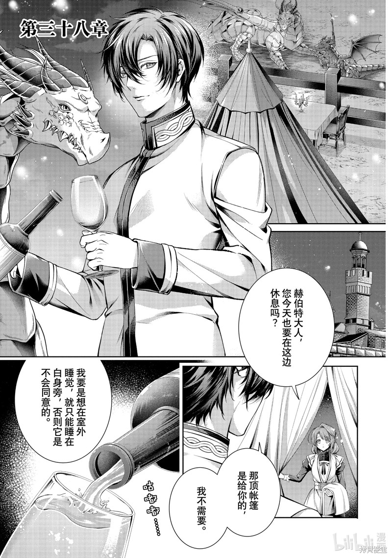 龙骑士的宠儿漫画38话