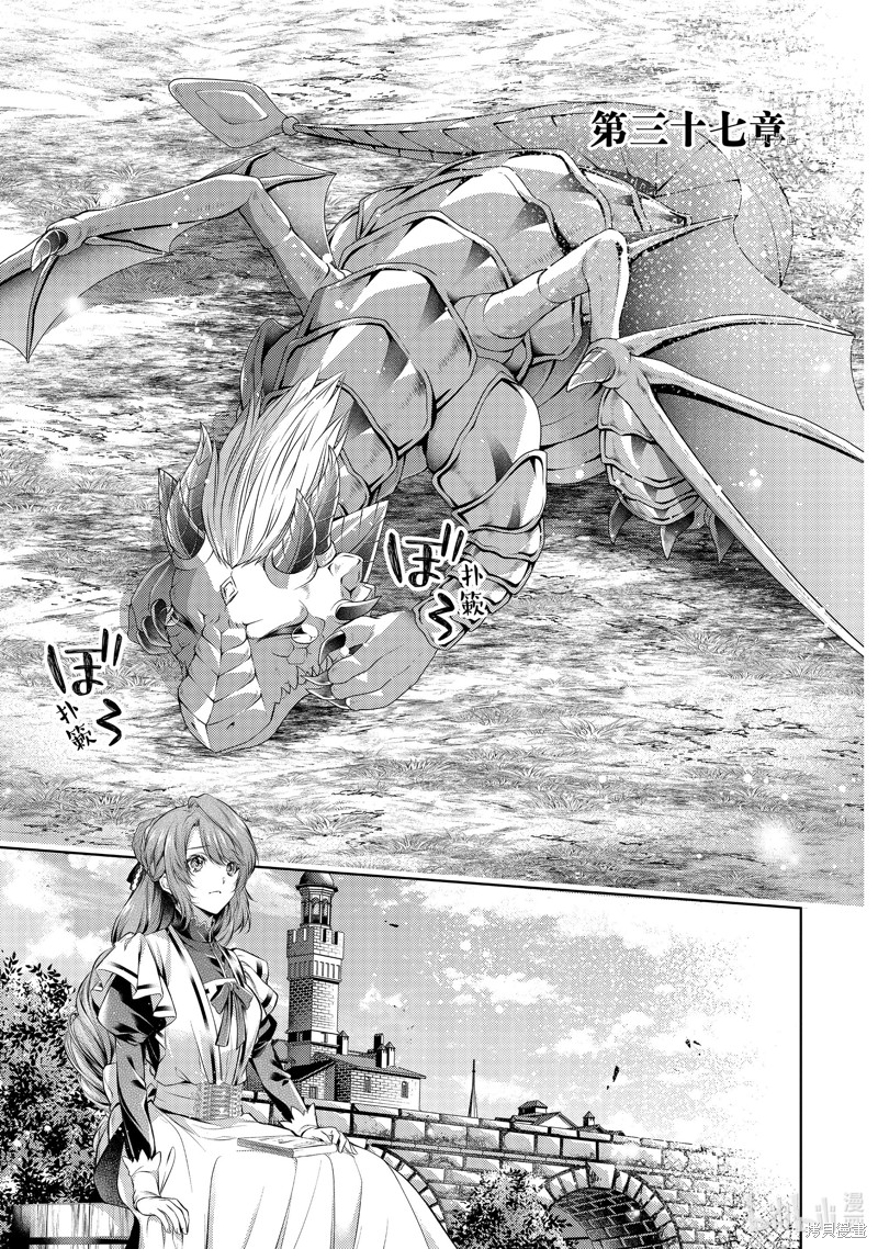 龙骑士的宠儿漫画37话