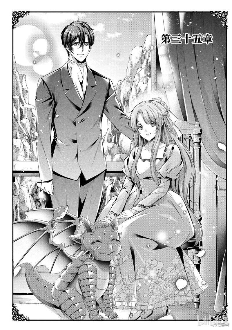 龙骑士的宠儿漫画35话