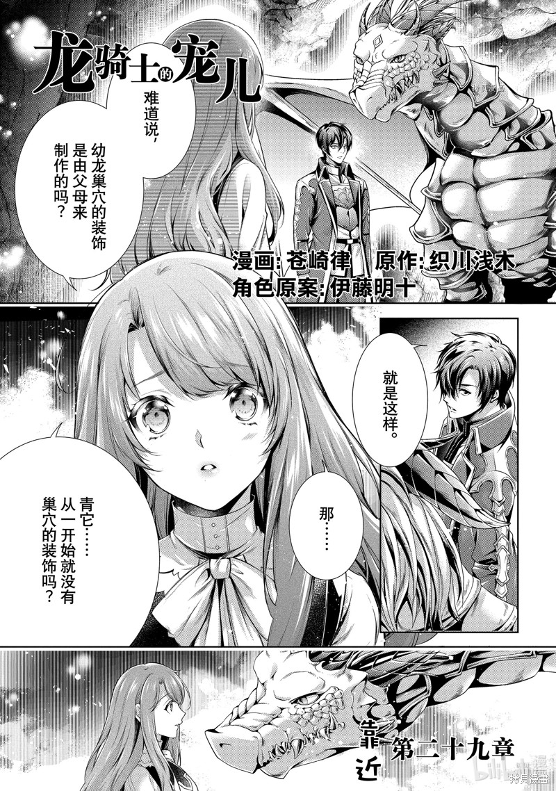 龙骑士的宠儿漫画29话