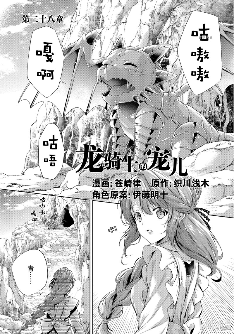 龙骑士的宠儿漫画28话