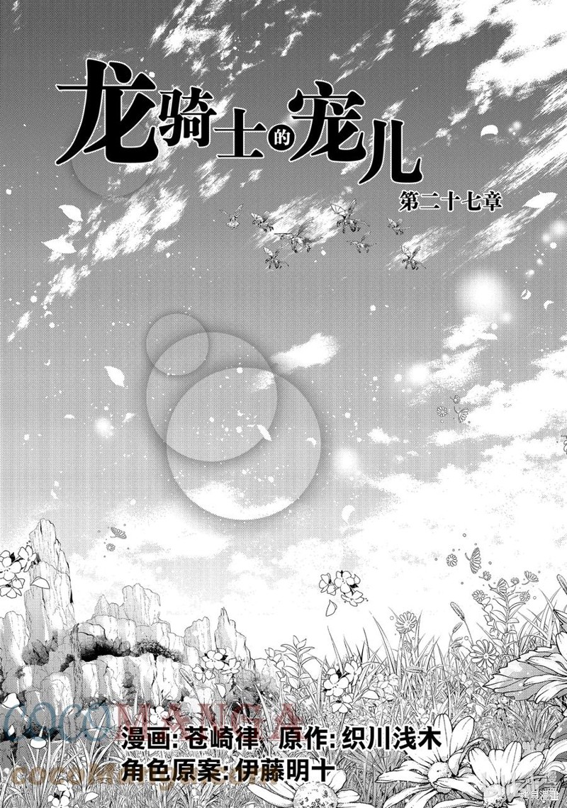 龙骑士的宠儿漫画27话