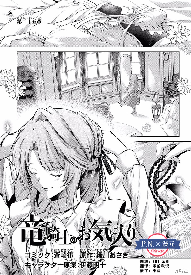龙骑士的宠儿漫画25话