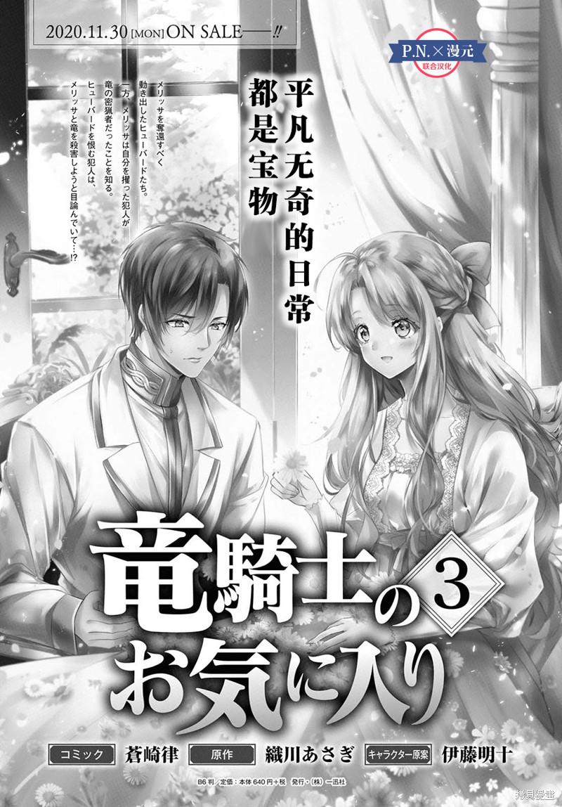 龙骑士的宠儿漫画21话