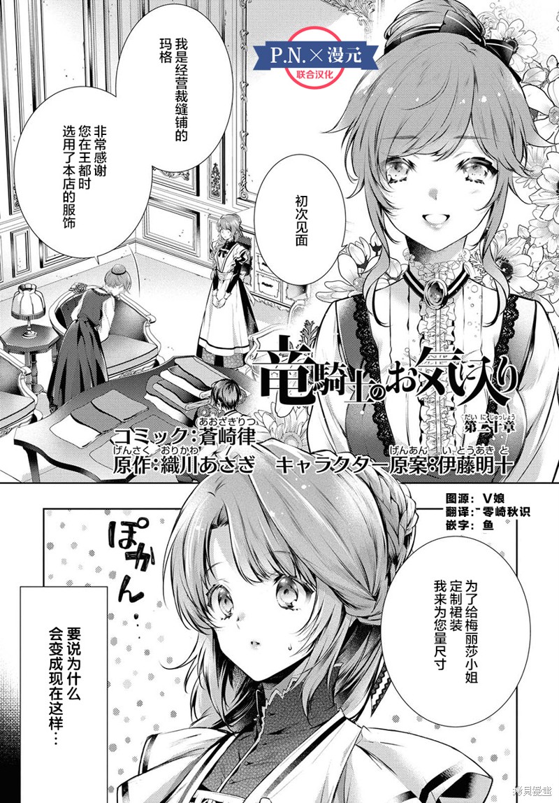 龙骑士的宠儿漫画20话