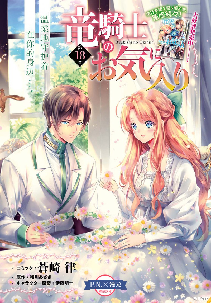 龙骑士的宠儿漫画18话