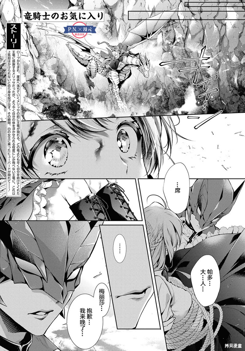 龙骑士的宠儿漫画17话