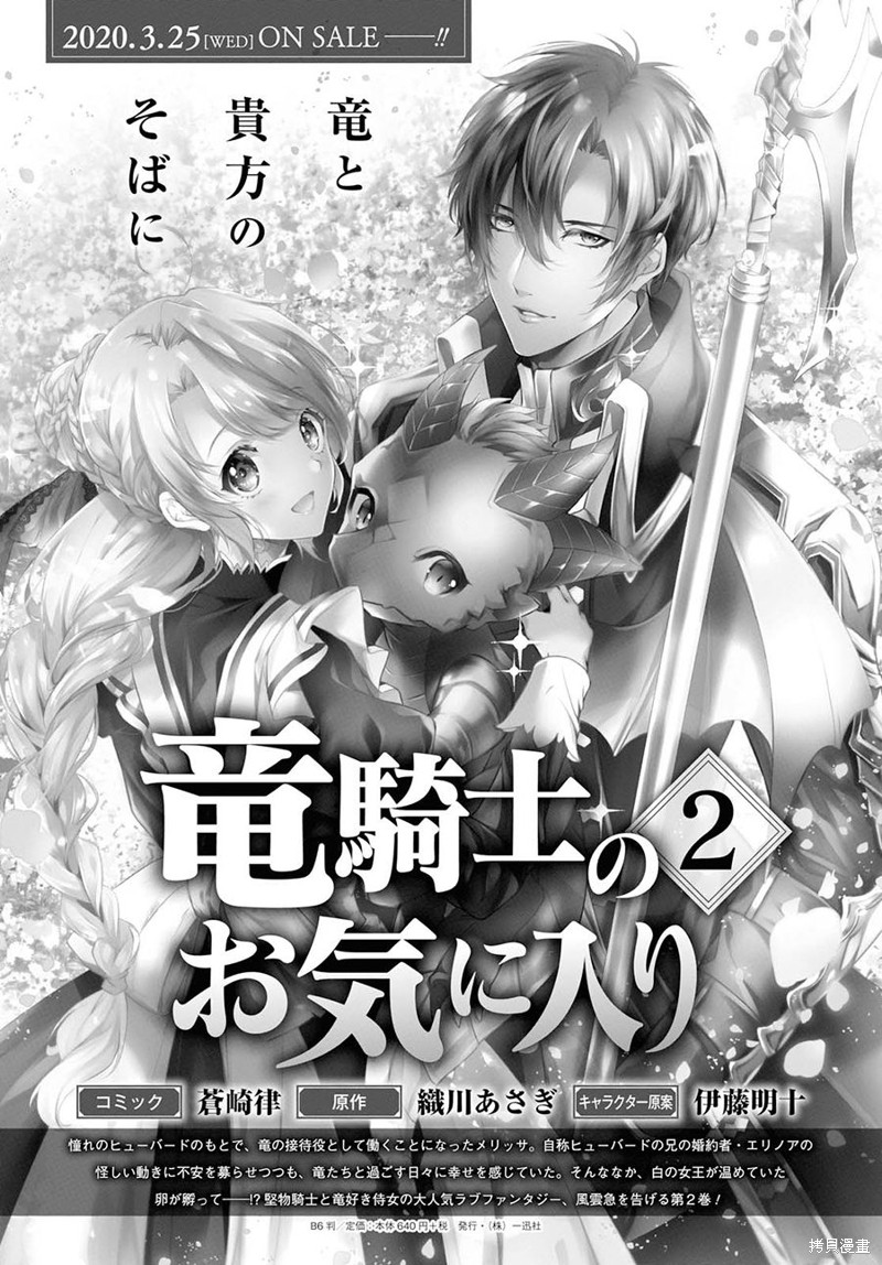龙骑士的宠儿漫画13话