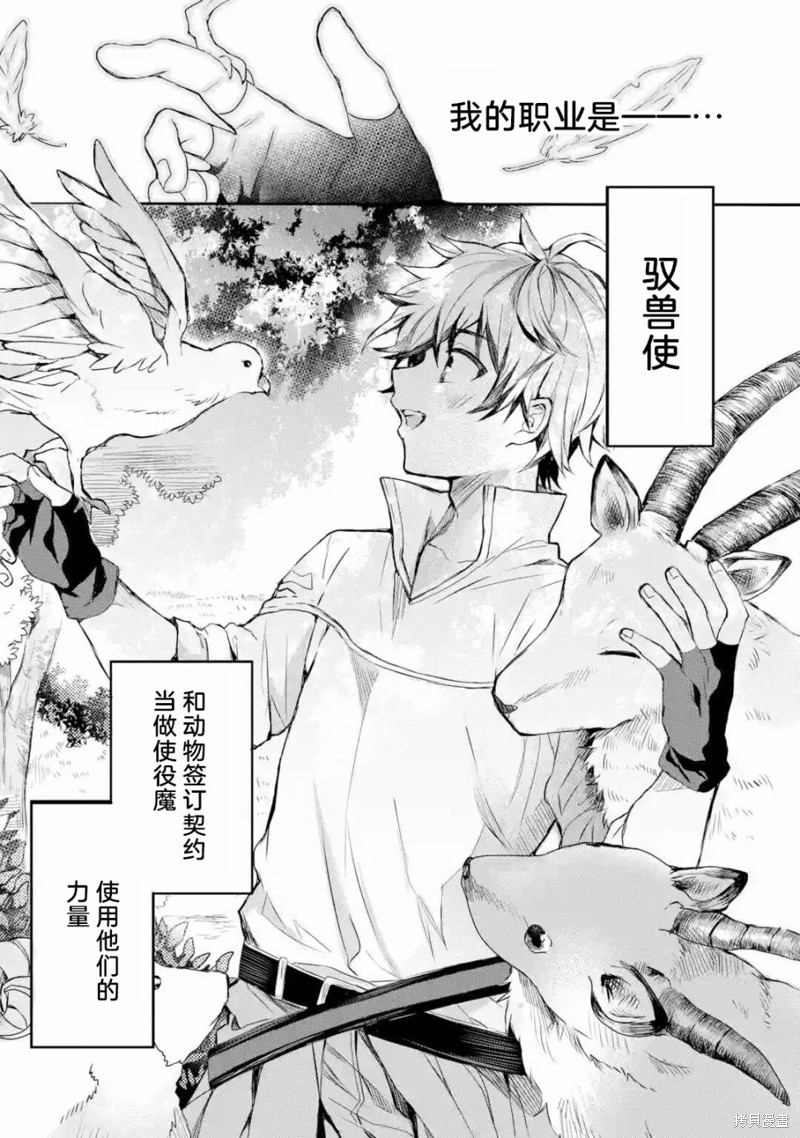 被勇者队伍开除的驭兽使、邂逅了最强种的猫耳少女漫画01话